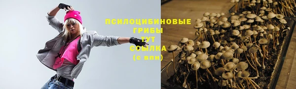apvp Лабытнанги