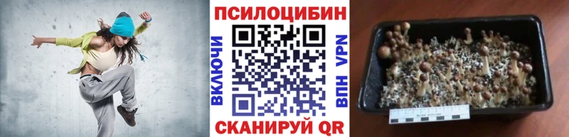 Галлюциногенные грибы GOLDEN TEACHER  Трёхгорный 
